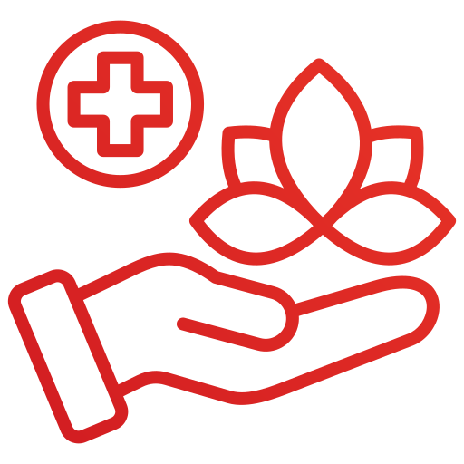 Website Designing holistic-health